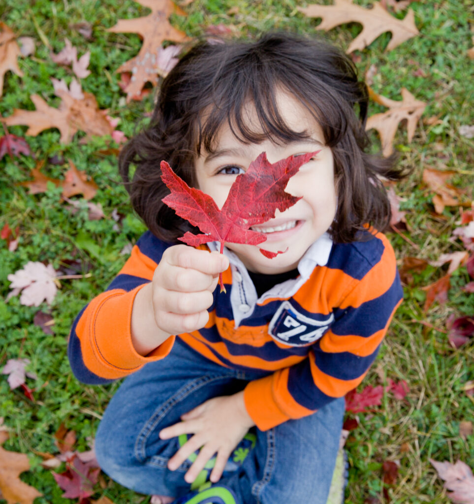 young boy holding up a maple leaf in the fall